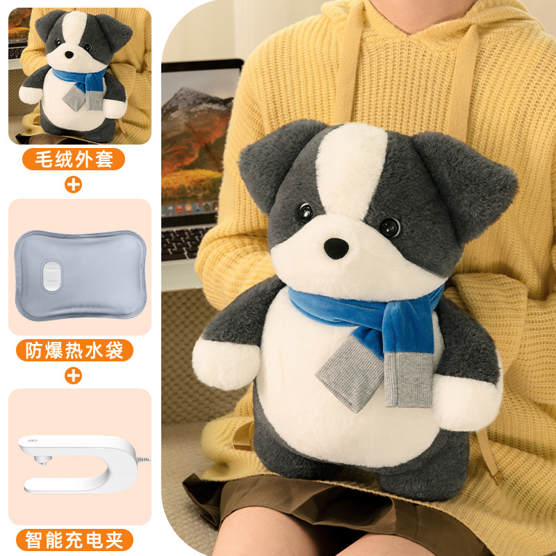 스카프 보더 콜리