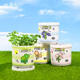 盆栽;科学实验玩具;创意礼品套装