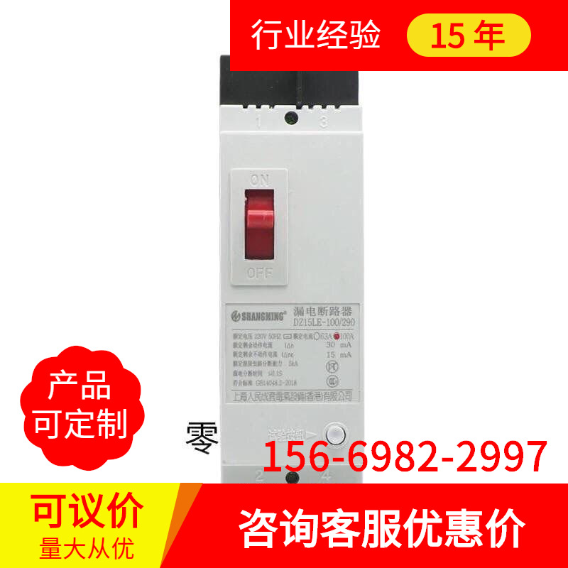 廠家直直銷DZ15LE-2901 40a二相漏電開關斷路器開關家用漏保