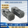 减速单相调速220v电机