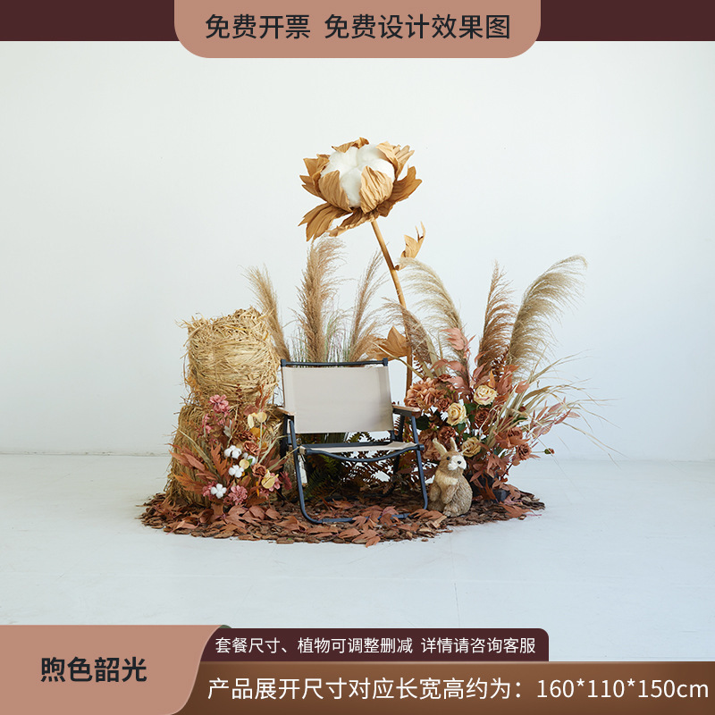 植物造景假绿植棉花云朵芦苇干花装饰直播间秋冬橱窗场景布置日暖|undefined