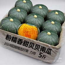 贝贝南瓜10斤新鲜粉糯板栗味小南瓜栗面山东老瓜婴儿孕妇包邮
