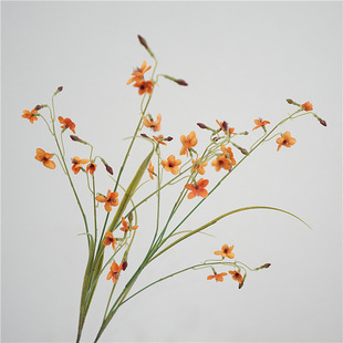 ��������|���滨��ɏ�黨��Ȼϵ���ļҾӲ����b�ܛ�b�廨���