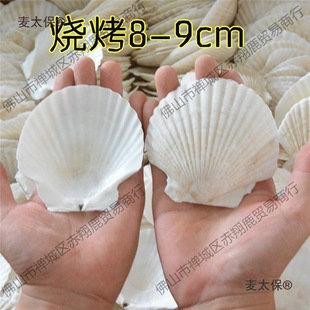 Ƭ�b ������ɫ����ؐ�����l����ؐ�����İ뚤����Ȼ���|����̫��