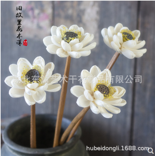 Lirio de agua planta fresca casa Café Bar tienda decoración del arte ramo flores secas loto Decoración