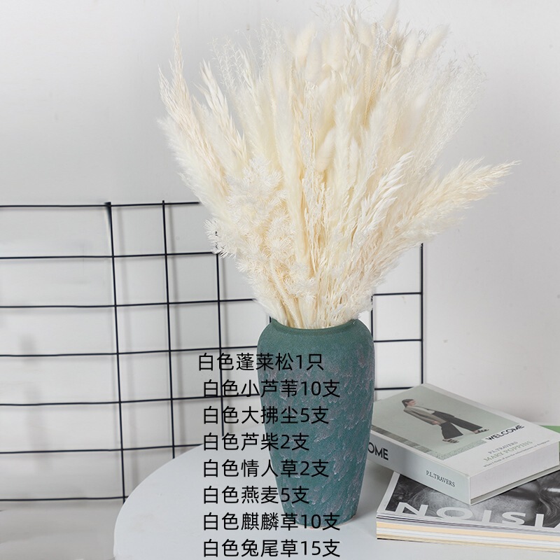 アマゾンはよく売れています。葦の花の花束です。|undefined