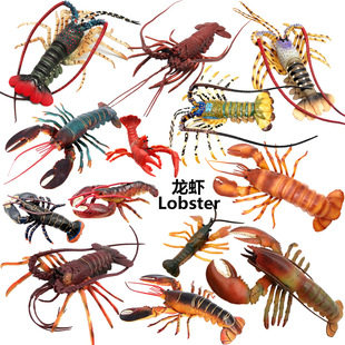 �羳���挍�ĺ������ģ�͔[�����r��ʿ�D���r�����^�o��Ʒ�Y��