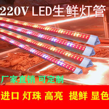 չʾ220Vrledliʳչʾc˱u˟􎧴l