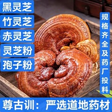 `֥Ƭ ș`֥ ߅`֥ `֥ `֥ `֥ ֧șz