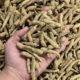 Shandong American ginseng branches whole root wholesale American ginseng branches origin supply American ginseng section wholesale a generation of hair