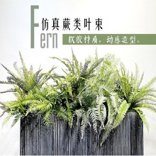 �����ɭϵͥԺ�ֲ̨������b��Ų�˹ާ�����X�~�����Ծ��b�