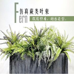 �����ɭϵͥԺ�ֲ̨������b��Ų�˹ާ�����X�~�����Ծ��b�