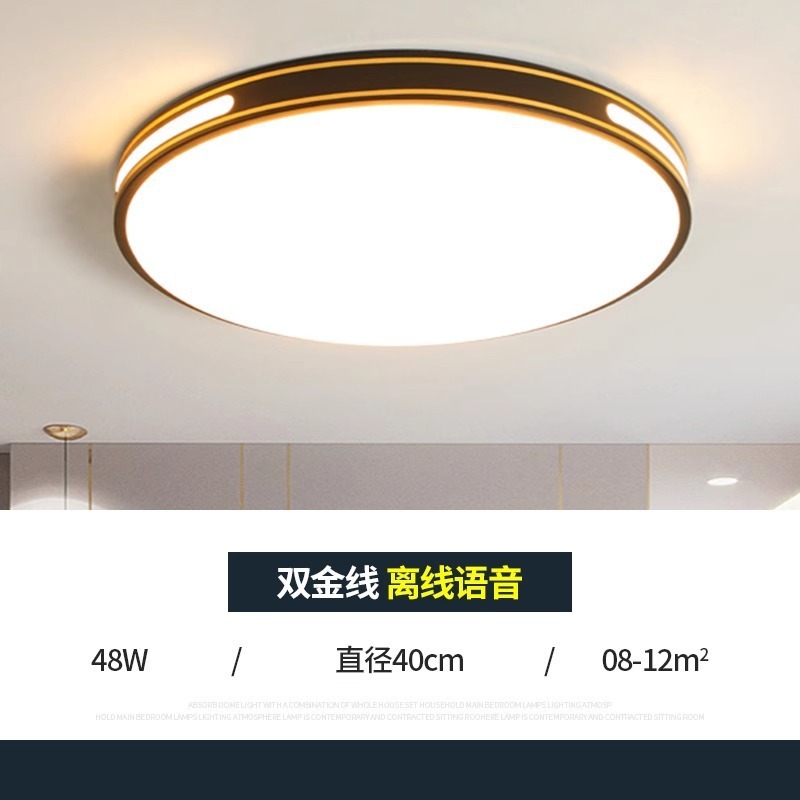 2025 新しい雰囲気のリビングルームランプモダンでシンプルな家全体の天井ランプ寝室レストランシャンデリア中山照明器具|undefined