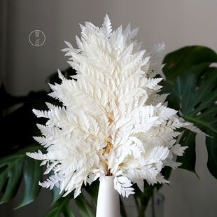 ������ɽ���X���l��ɽ���X�~����ƿ�����r��ާ�â�~���~�˱�����