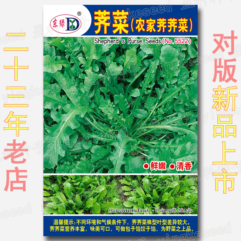 荠荠菜种子东北大叶野菜种籽阳台室内盆栽菜园易种原装2g荠菜批发