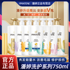 パンテーン アミノ酸シャンプー＆コンディショナー 750g ダメージケア、フケ防止、髪質改善、くせ毛抑制 公式