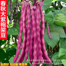 ۼܶNӟoǷNܿ߮a＾ļ߲˷N