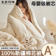 A���½������ޱ�о100�޻��������Ӻ�ů����ȫ�޴��ﱻ��������