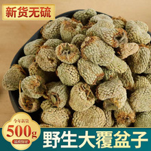 ƷҰș500g؛ˮ؛ݲݾƹٷŞ