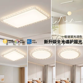 成套灯具;风扇灯;吸顶灯