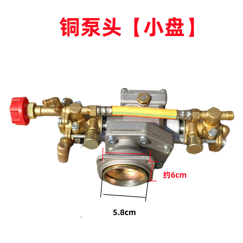 IMG_20240112_105501_副本_副本