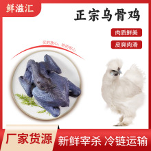 佛山现杀竹丝鸡煲汤佳品生鲜竹丝鸡批发新鲜土鸡农家散养乌鸡