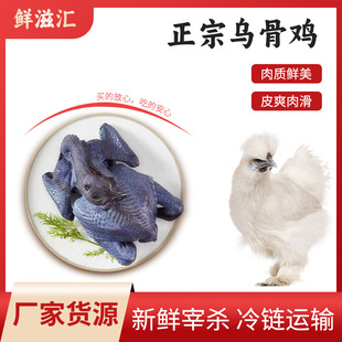 ��ɽ�F����z�u�Ҝ���Ʒ���r��z�u���l���r���u�r��ɢ�B���u