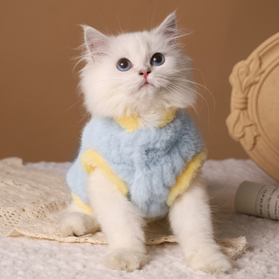 Cat Clothes Winter Warm Muppet Kitten Cotton Coat Silver Gradual Winter Kitten Winter Clothes Winter Cats Autumn and Winter