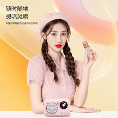 Bluetooth speaker karaoke integrated audio home microphone karaoke entertainment singing audio children's microphone retro