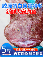 安康鱼5斤新鲜深海大嘴鱼蛤蟆鱼鱼肝鱼肚无刺鱼海鲜水产