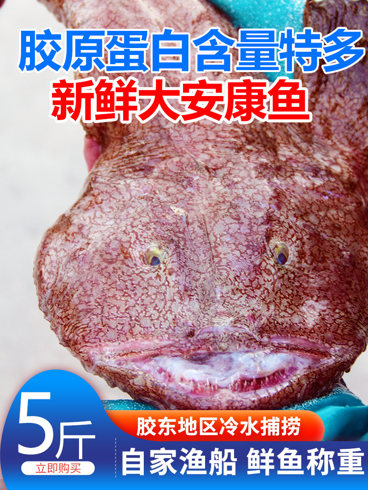 安康鱼5斤新鲜深海大嘴鱼蛤蟆鱼鱼肝鱼肚无刺鱼海鲜水产