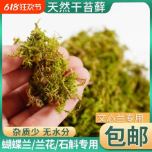 m bNֲľ޽Ӹ̦\ʯˮ̦ ˮ̦m