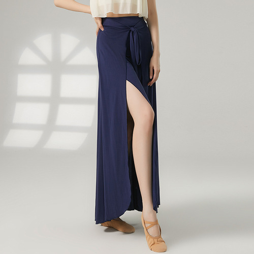 Ancient-style dance costume light wind skirt Chinese-style dance skirt dancing practice wear can be worn daily dance wear