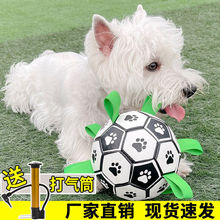 结绳狗狗足球玩具球弹力球互动球球训练中小型宠物球