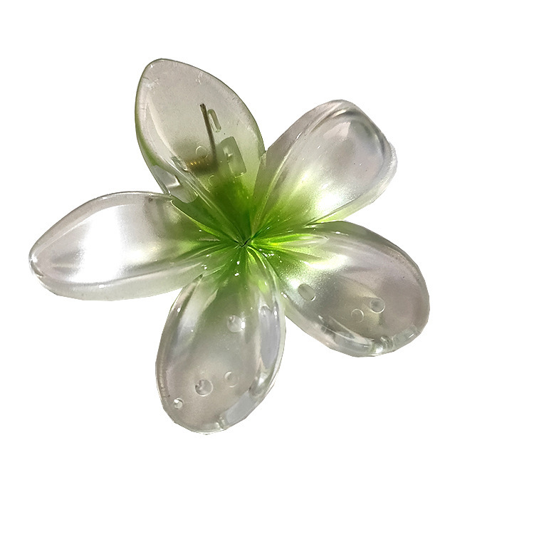 国境を越えたアマゾンの卵の花がグラデーションの花のキャンディー色の紫荊花の後頭部をつかんでサメの花を挟んで髪を伸ばします。|undefined