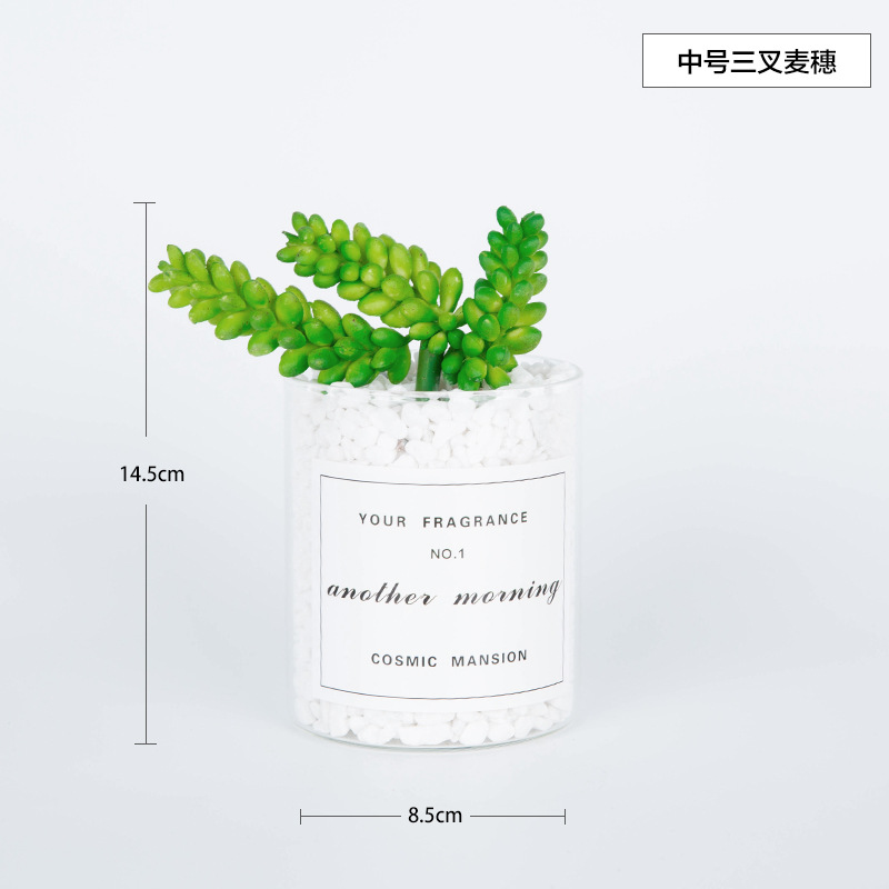 Nordic Planta artificial en maceta cactus falsa planta verde suculenta ins sala de estar decoración de interiores flor falsa adornos creativos image 13