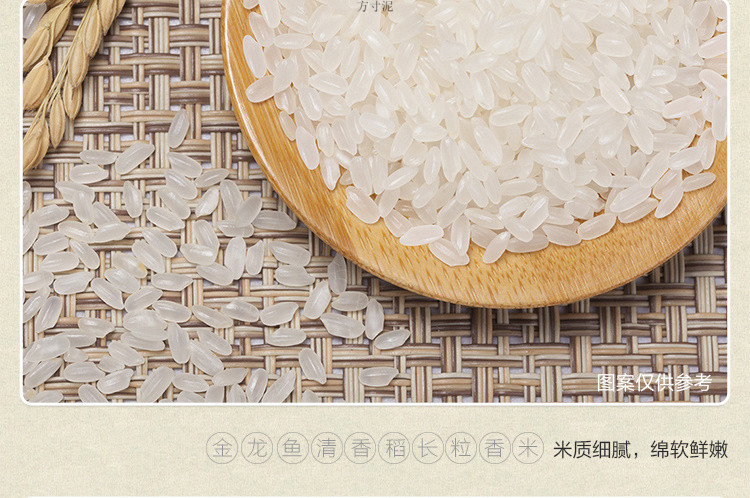 2c427b5a-f7d8-4cfa-83ab-8824b2a67b37.jpe