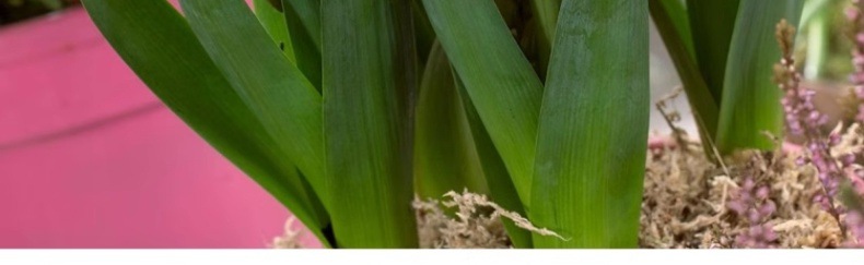 YJH_一键复制_20240722221433