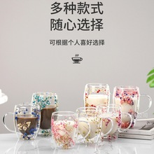 网红真花双层玻璃杯高颜值满天星玻璃杯跨境牛奶咖啡杯简约玻璃杯