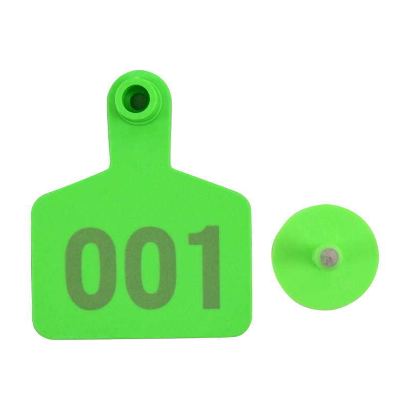 Etiqueta de oreja de cerdo, ganado y oveja con palabras Etiqueta de oreja de oveja etiqueta de número Etiqueta de oreja de oveja con palabras Etiqueta de oreja de oveja