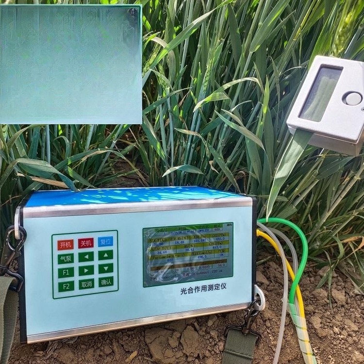 光合作用测定仪   型号 M330891-SY-2020库号 M330891