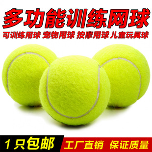 Tennis Training Ball for Beginners to Practice Tennis, Junior and Intermediate Training Ball, Dog Pet Tennis Massage Fitness Ball