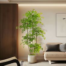 �߶��p�ݷ���Gֲ�������҃ȴ�����ؔ[���͏d�b����٘�ֲ��