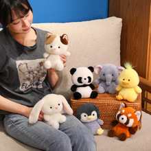 �ɐ�����ë�q���С��؈���Ӵ��������ӄ��﹫�Ѓ�ͯ�Y������