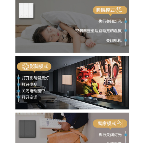 Zhengshang B1 Tuya smart switch WiFi wireless remote voice panel tuya European standard alexa Google