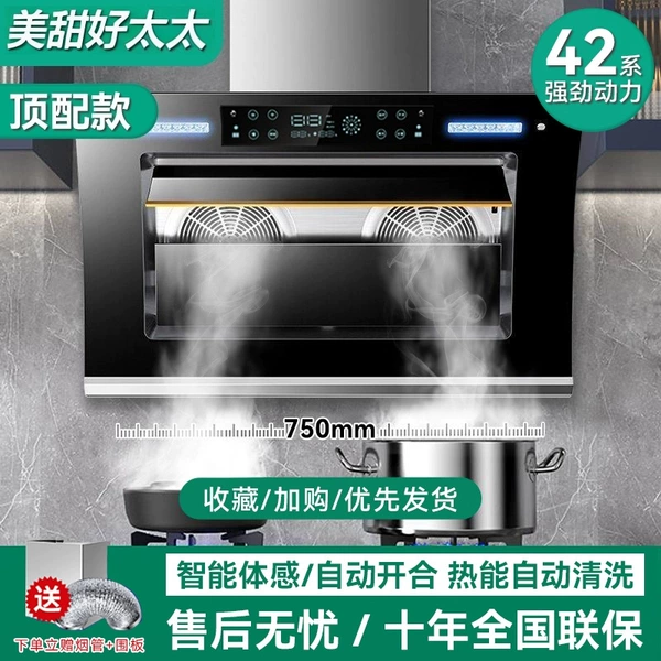 Top model 750 wide dual motor+automatic opening and closing [self -installation]