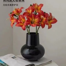 花瓶摆件客厅插花玻璃ins网红高级感水培鲜花简约透明水养中古大