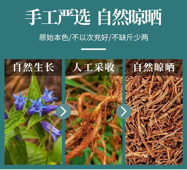 Long Dan Cao (Gentiana scabra) — Wild Bitter Root for Herbal Tea & Decoction key features