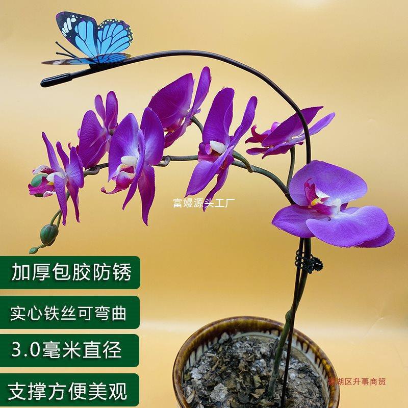 호접란 난초 지지대 원예 녹색 식물 화분 다육성 돈나무 몬스테라 장미꽃 입체 브라켓