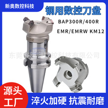 KM12㊵P BAP400R300RֱwPEMR EMRW_ֈAǵP